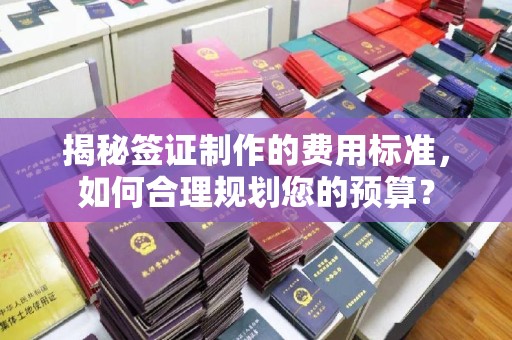 双阳揭秘签证制作的费用标准，如何合理规划您的预算？
