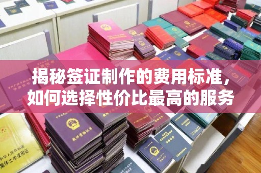 双阳揭秘签证制作的费用标准，如何选择性价比最高的服务？