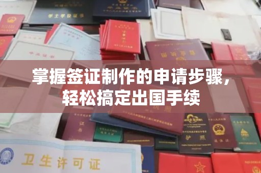 双阳掌握签证制作的申请步骤，轻松搞定出国手续