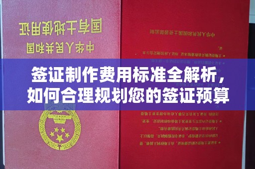 双阳签证制作费用标准全解析，如何合理规划您的签证预算？